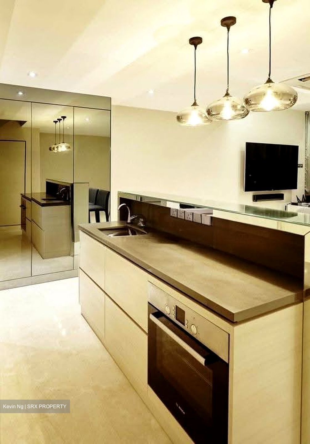 Holland Road (D10), Condominium #634103481